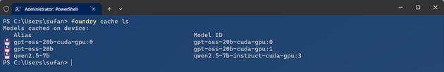 Foundry-cache-ls